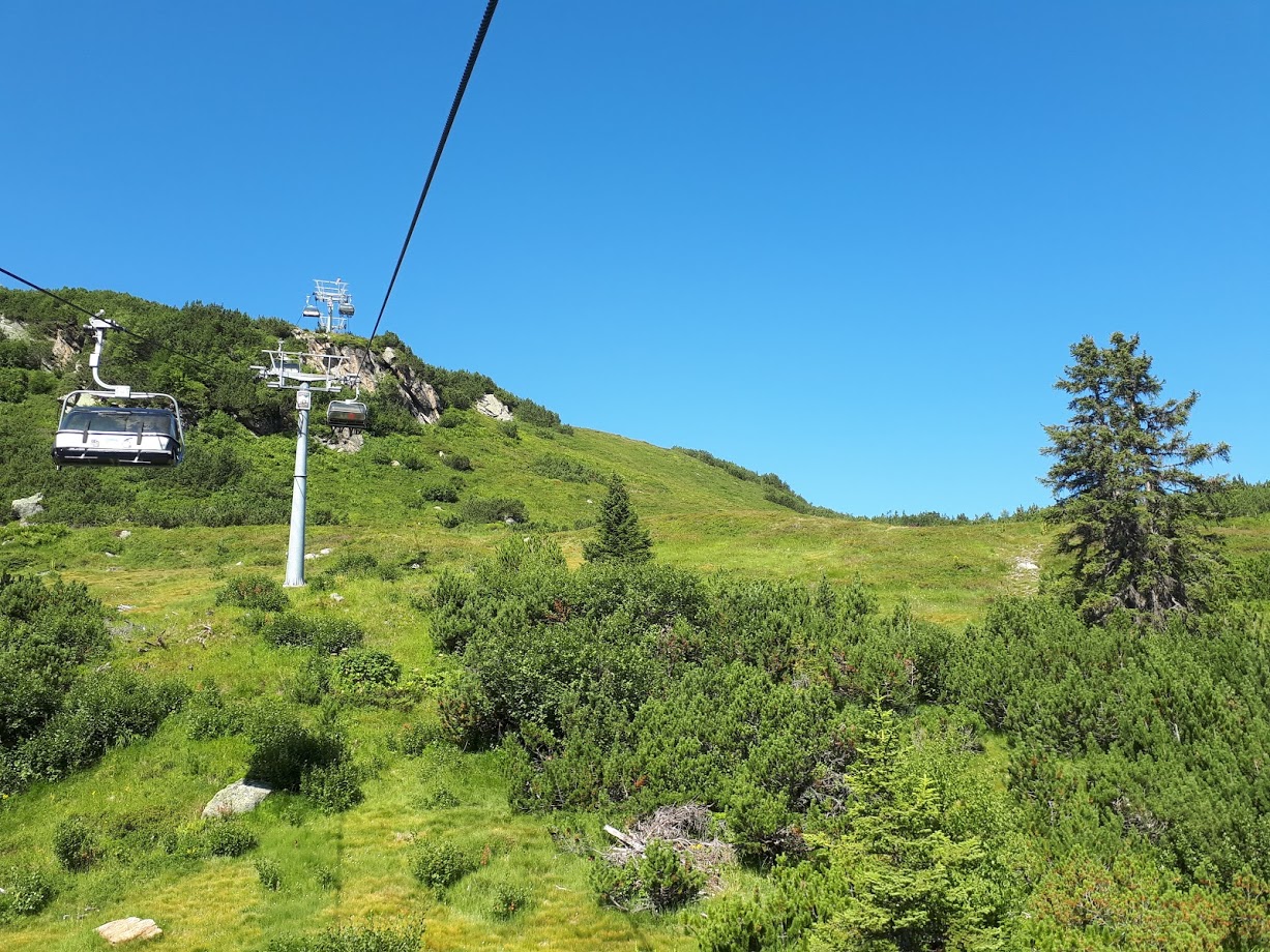 20180731_101332hajvd.jpg