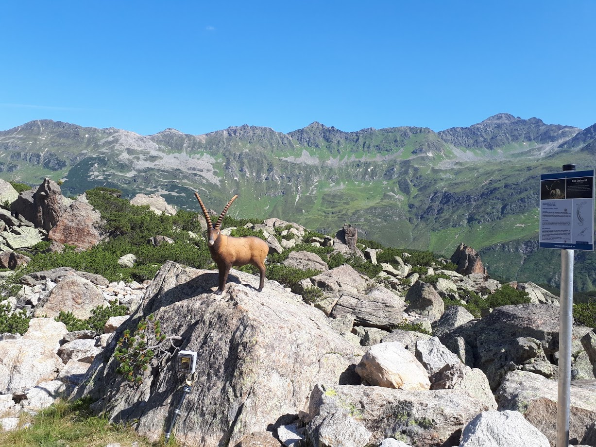 20180731_104613d7jm1.jpg