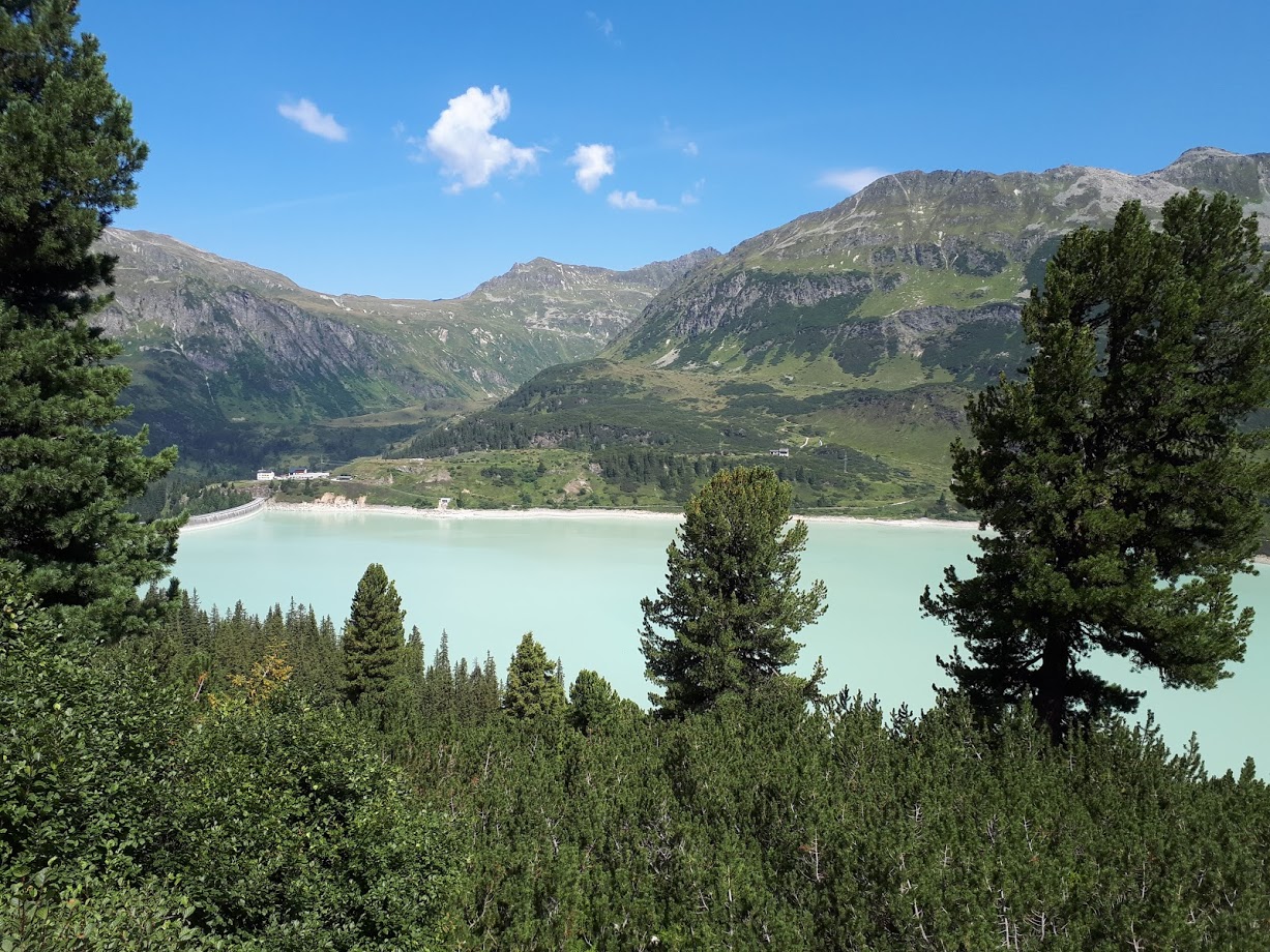 20180731_110713v3km3.jpg
