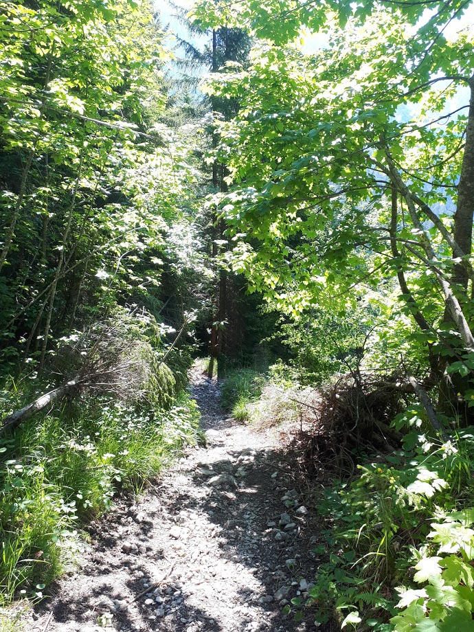 20200628_103142a9k96.jpg