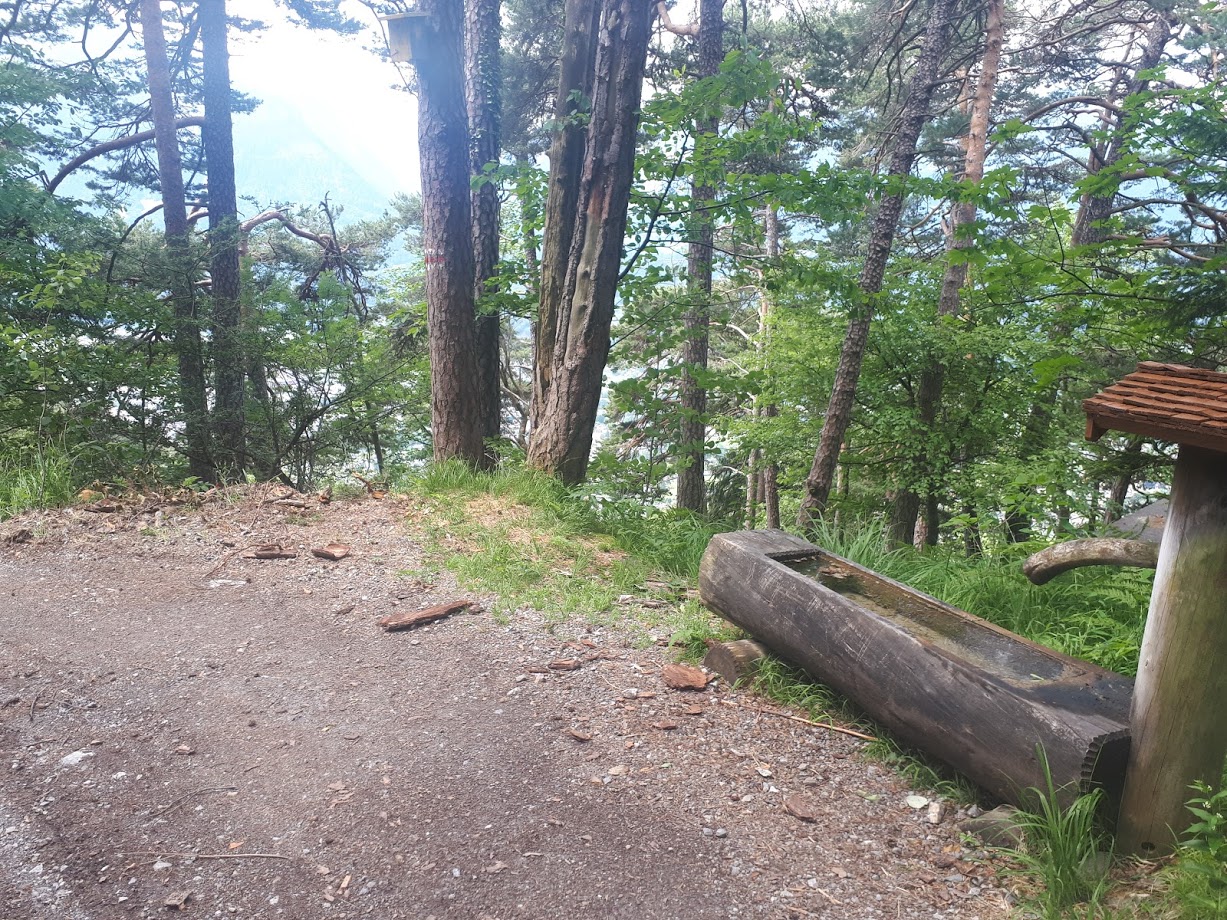 20200628_114058wtkl2.jpg