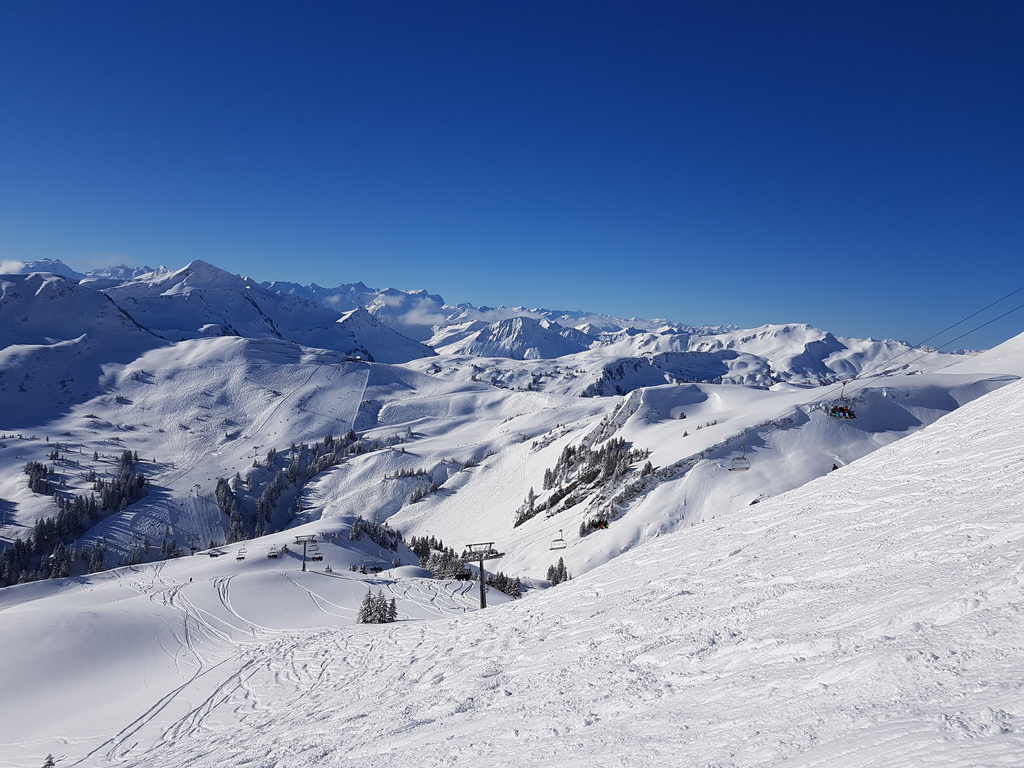20180213_095941x4jwh.jpg