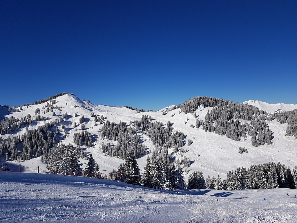 20180213_1114276ck5r.jpg