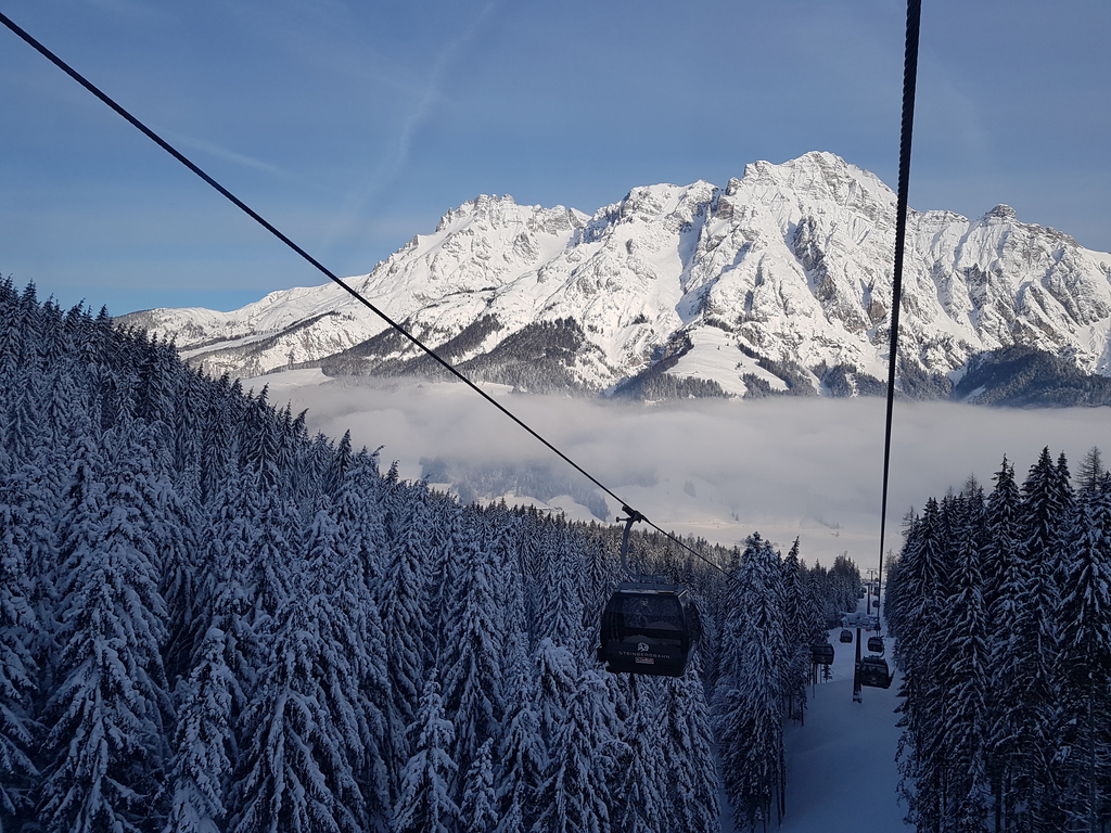 20190119_092305dejde.jpg