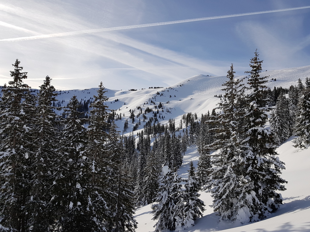 20190119_101822isj2u.jpg