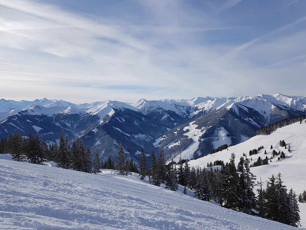 20190119_1024382ujpb.jpg
