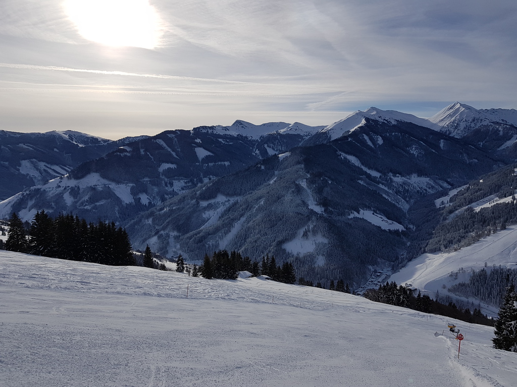 20190119_1034579ujtp.jpg