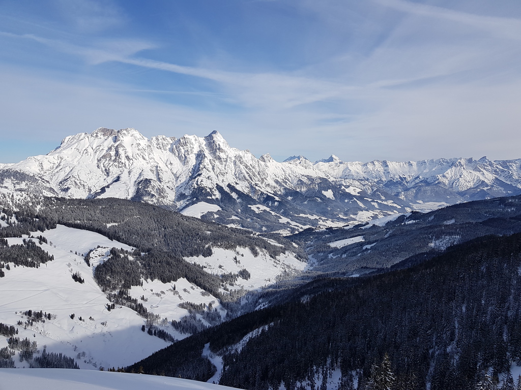 20190119_114027etjdo.jpg