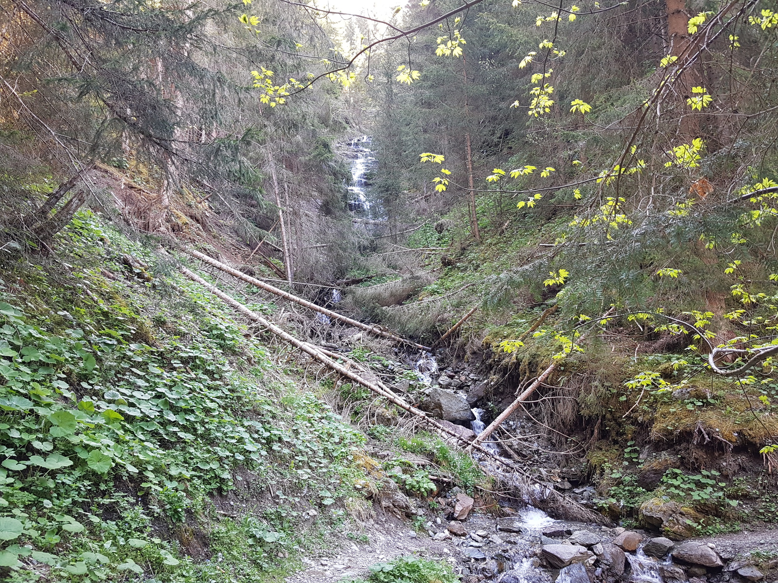 20210602_101756b0js8.jpg