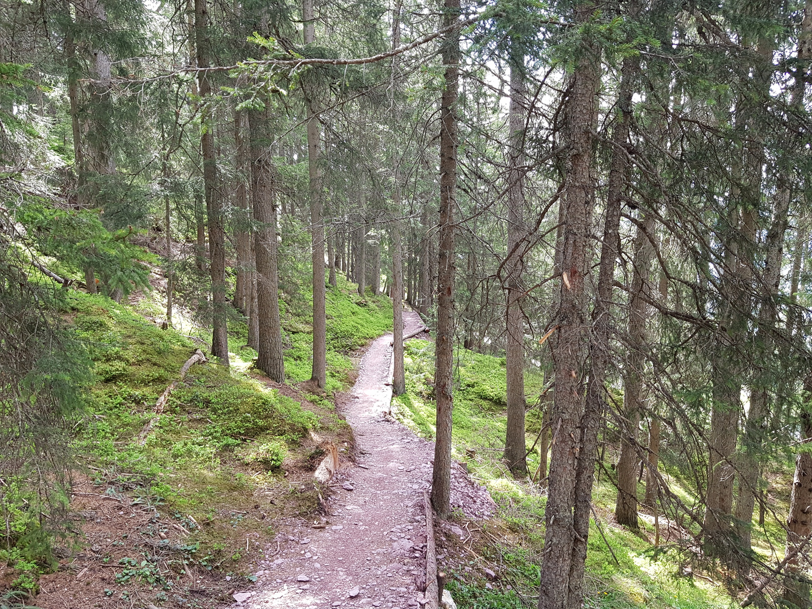 20210604_1018091qkjp.jpg