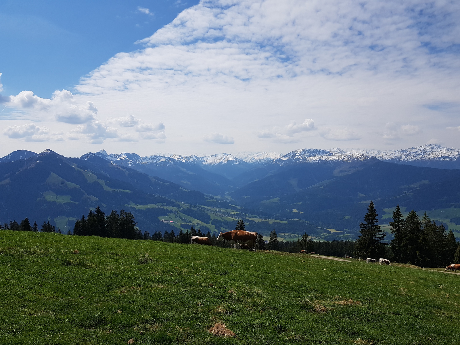 20210604_104750a7jmz.jpg