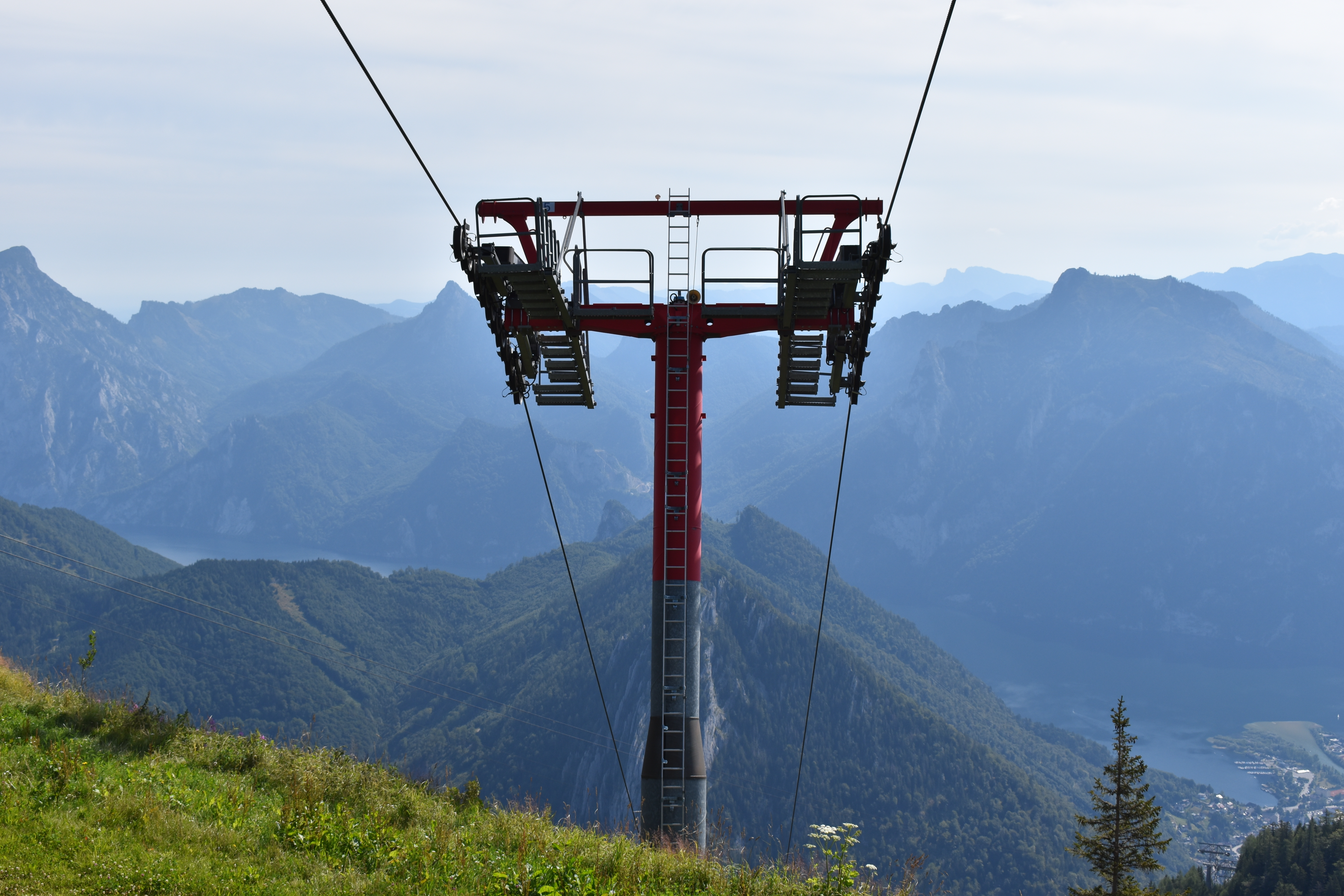 dsc_00530kic0.jpg