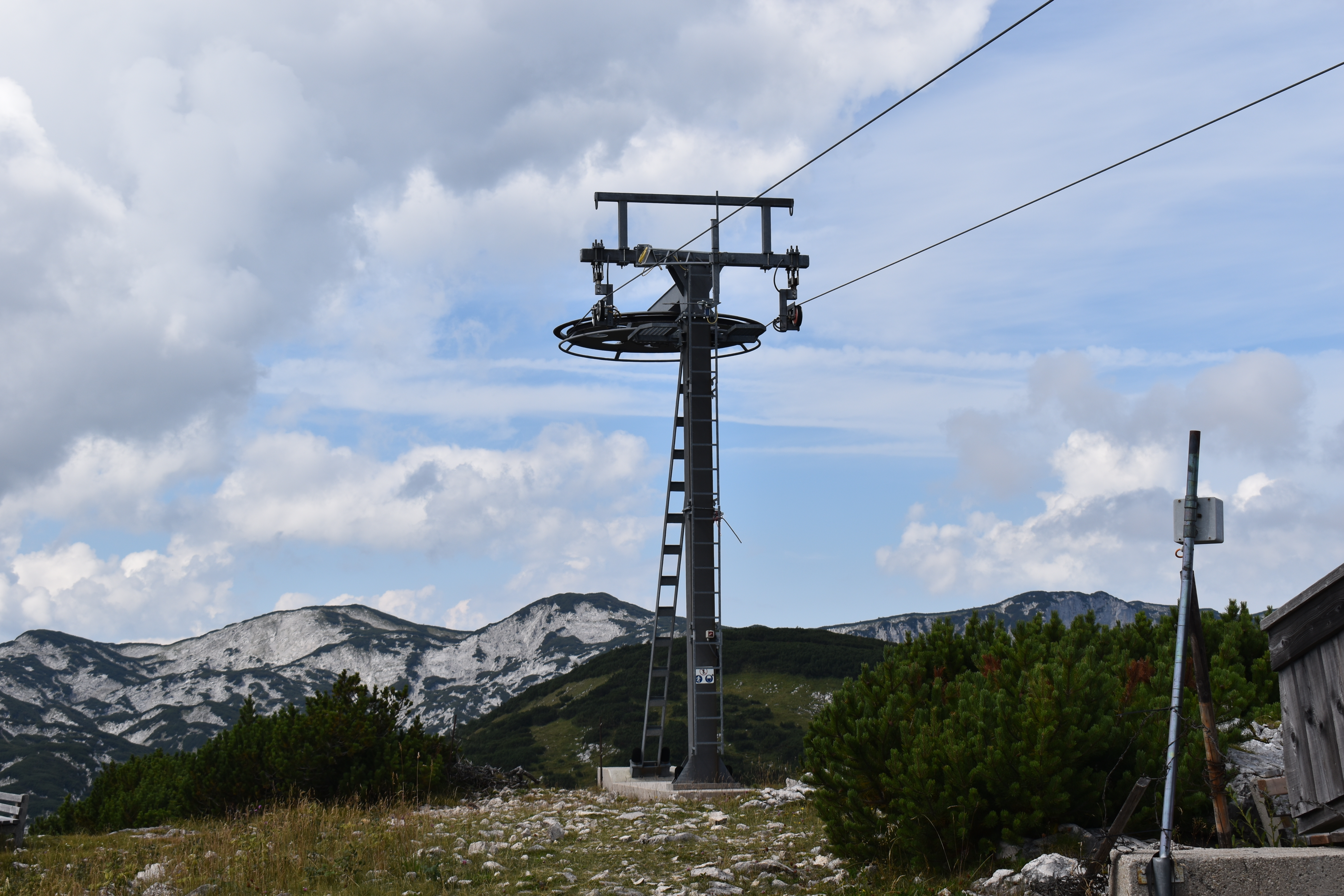dsc_02027tdb1.jpg