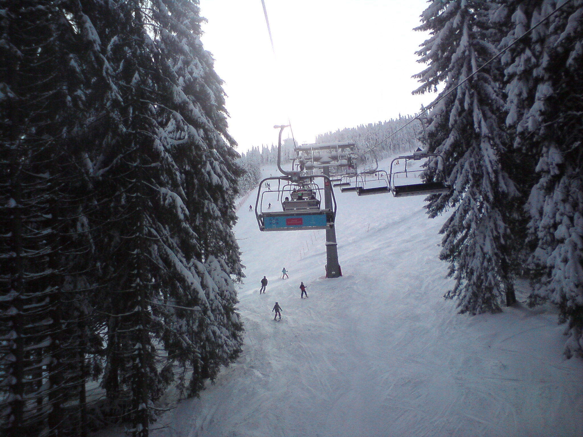 dsc000041jujnm.jpg