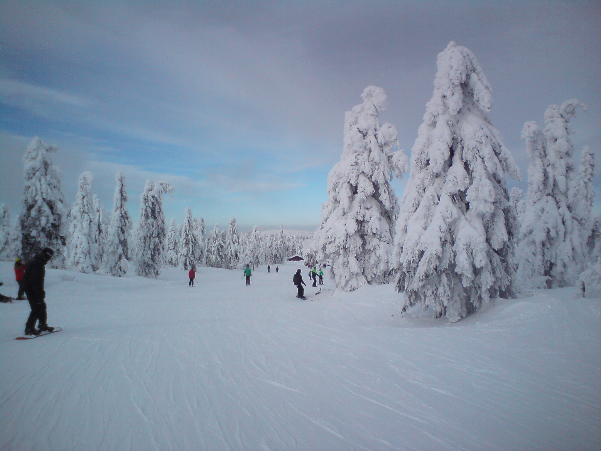 dsc0000519hkr1.jpg