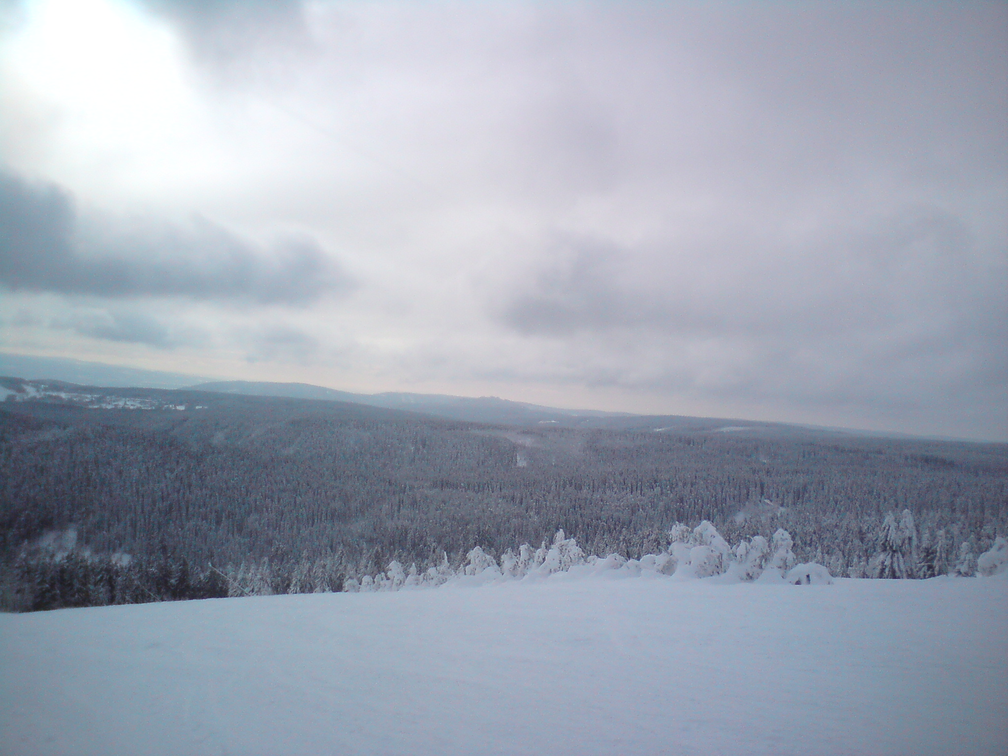 dsc000061rqkwv.jpg