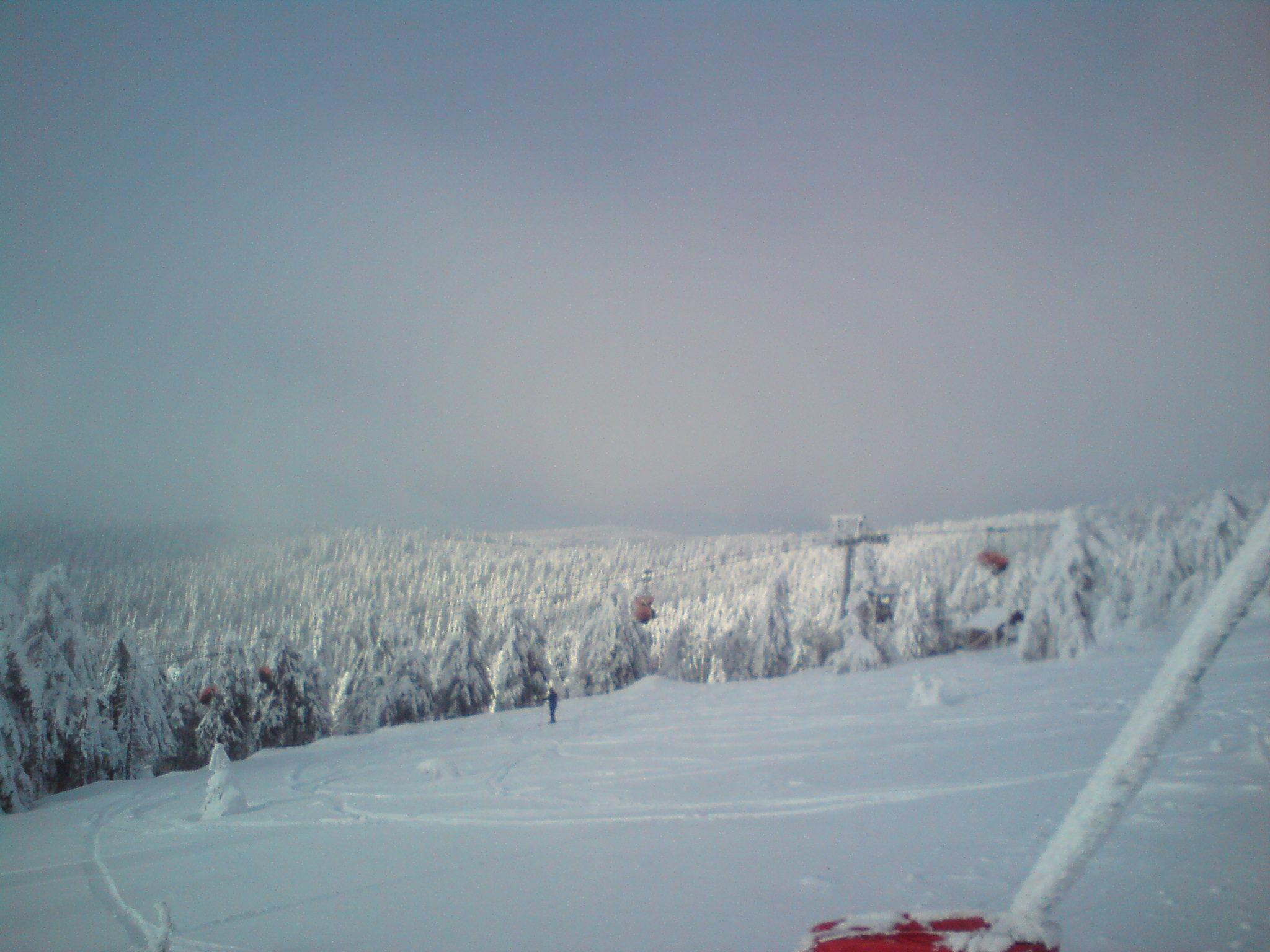 dsc000101cvkkq.jpg