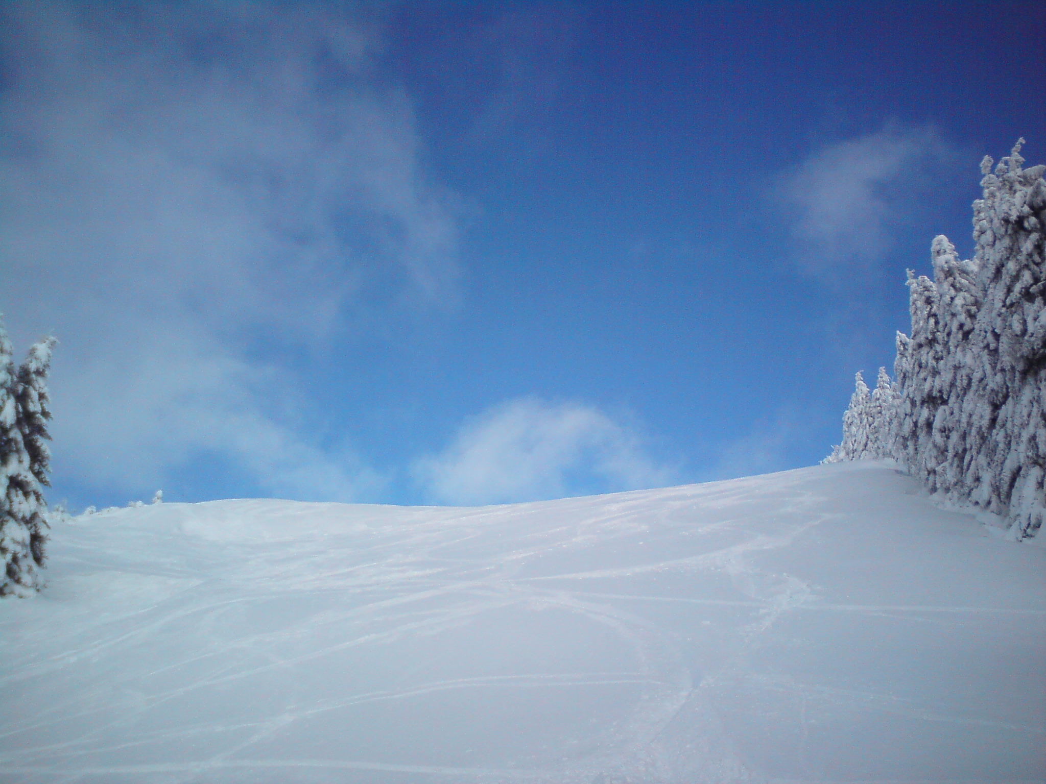 dsc0001410hkk3.jpg