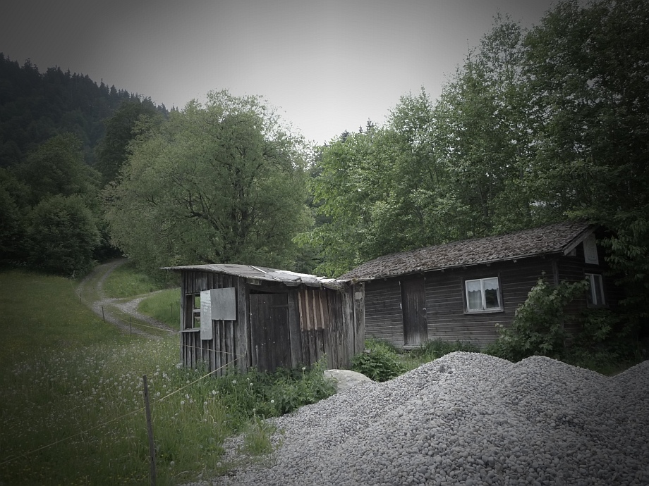 131okuzd.jpg