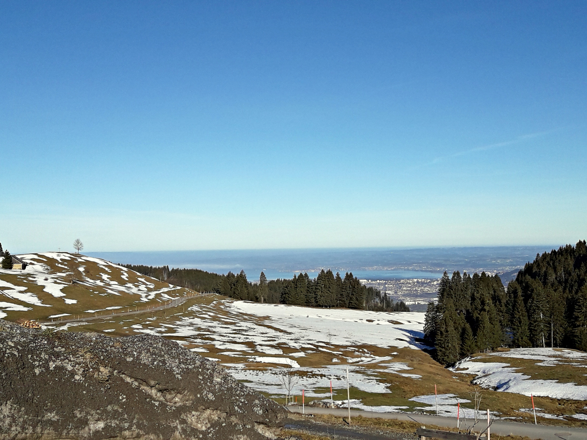 20220101_1045236tknt.jpg