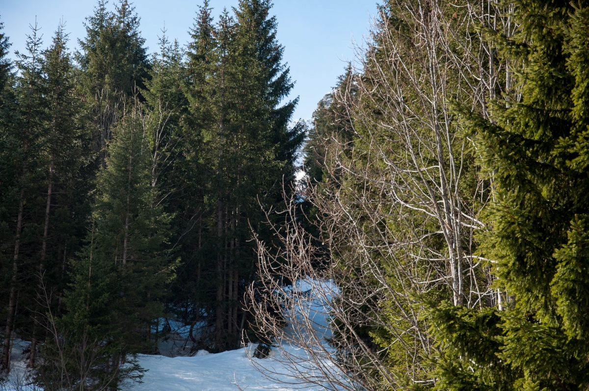 _dsc0007qdj7h.jpg