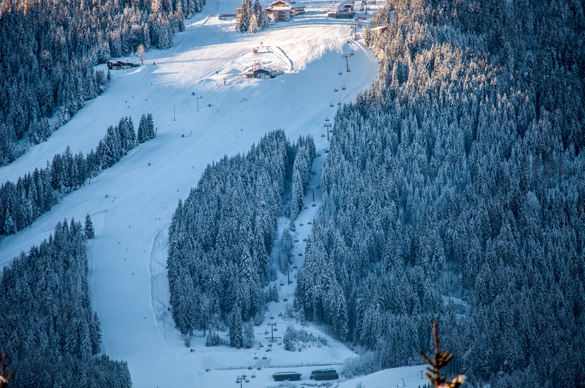 _dsc0009jukvj.jpg