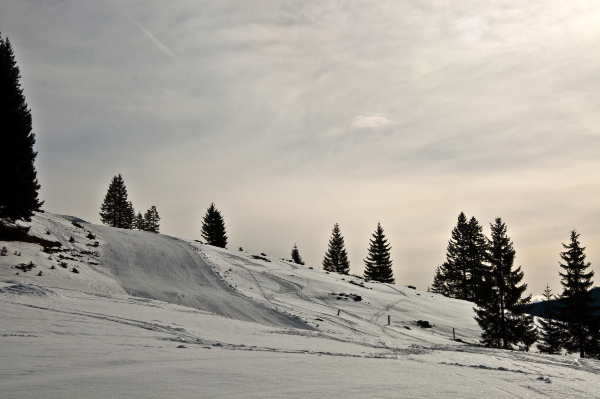 _dsc0010rvxly.jpg