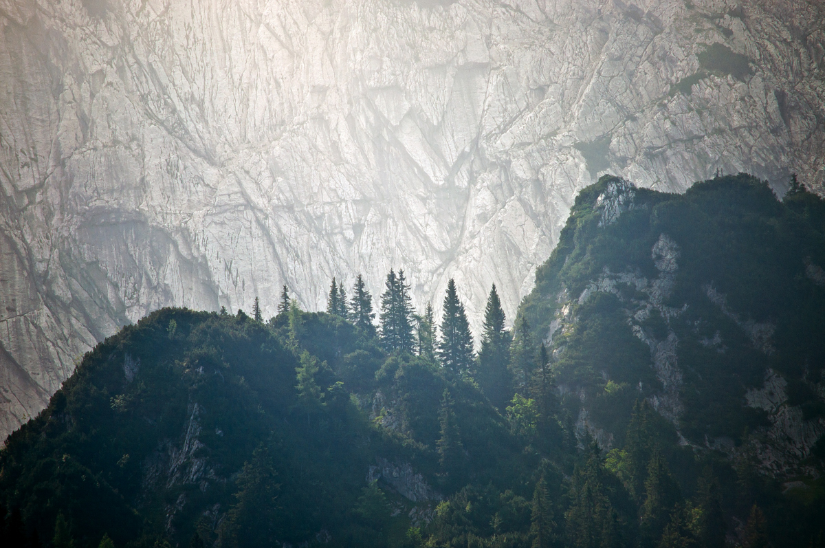 _dsc0010xakui.jpg