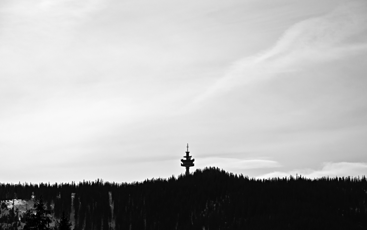 _dsc0011ggzmo.jpg