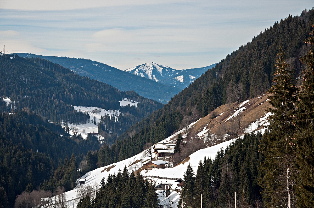 _dsc0013jaxtl.jpg
