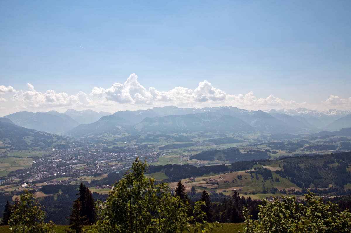 _dsc0017zybml.jpg