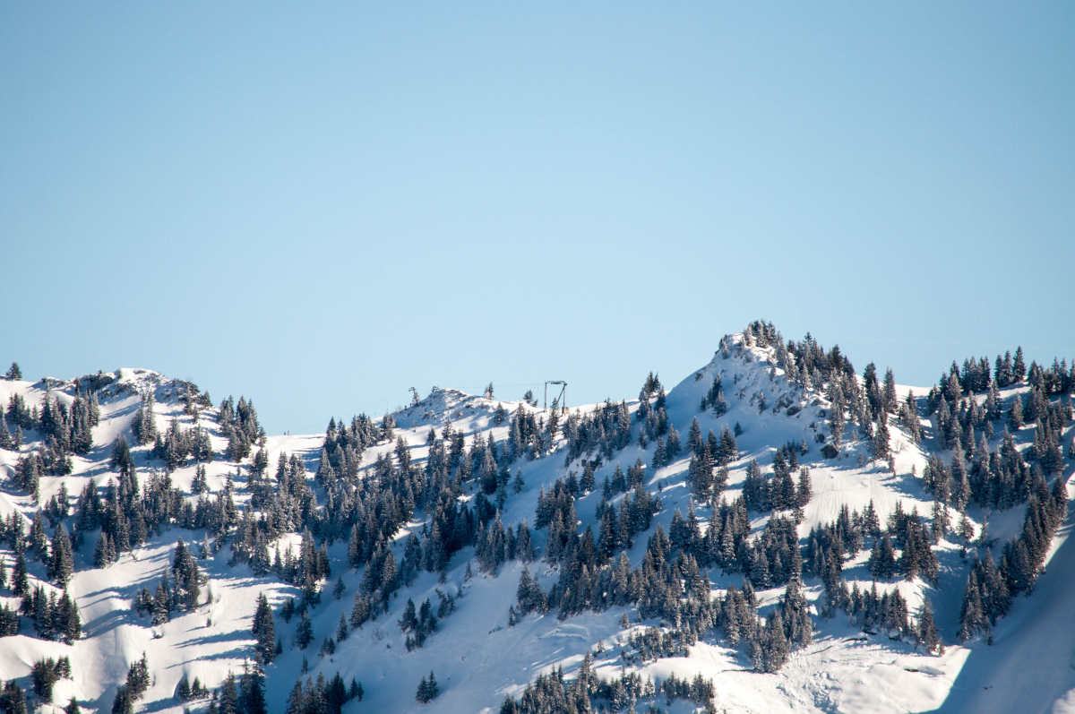 _dsc0018stjdq.jpg