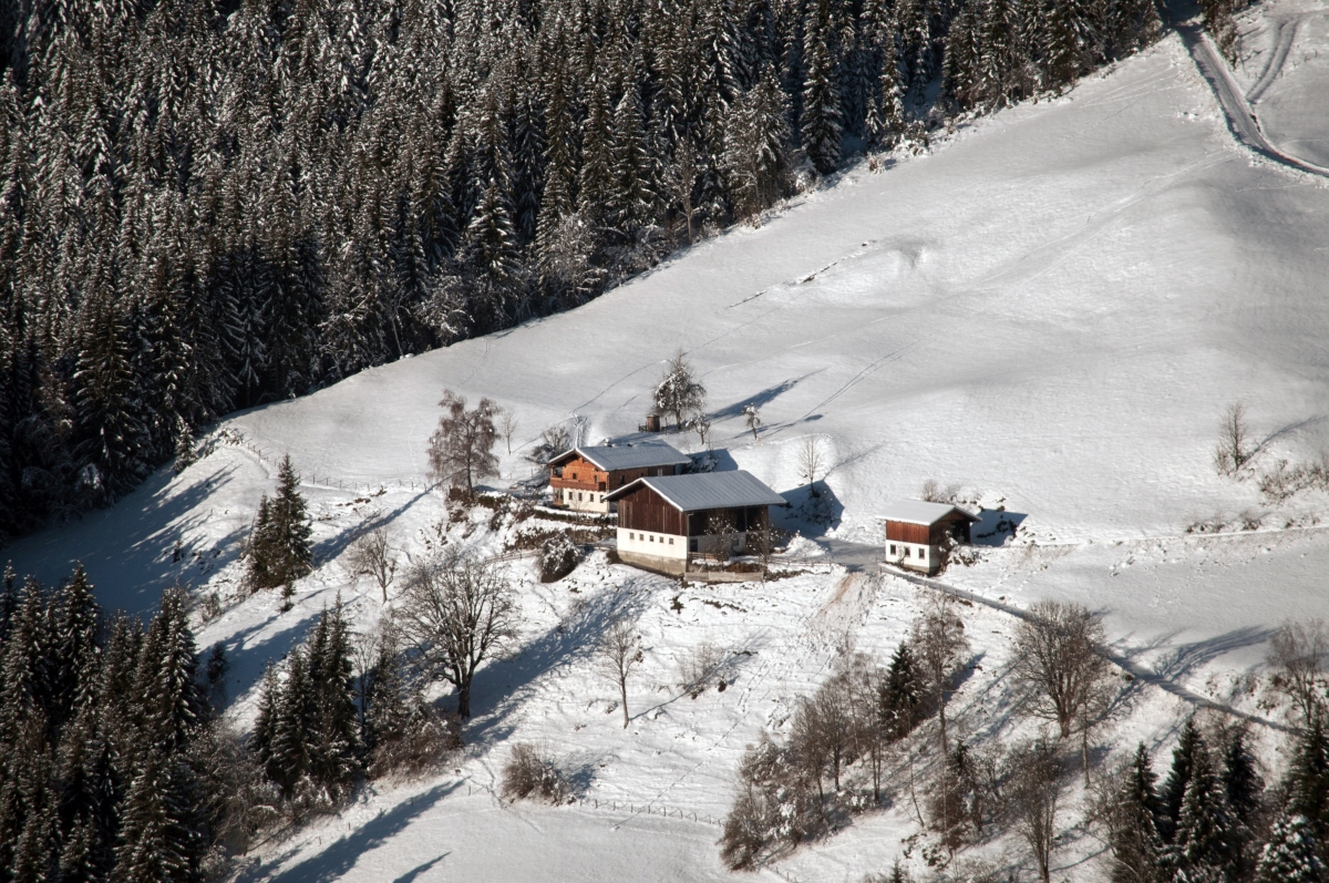 _dsc0021vkj40.jpg