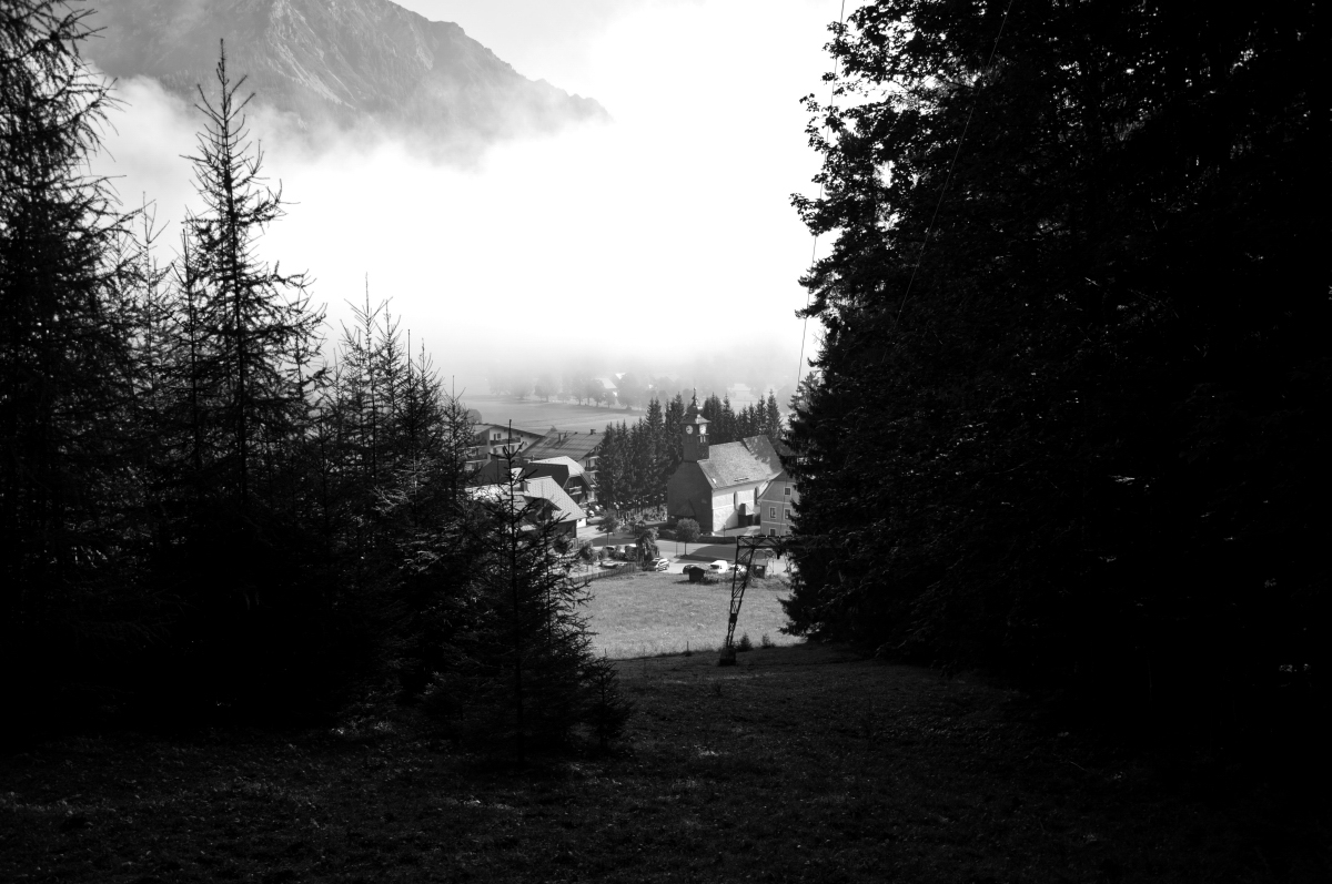 _dsc0026sfp0g.jpg