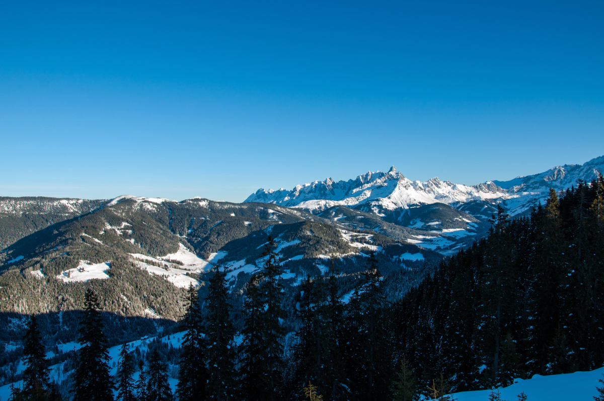 _dsc0029qwj7i.jpg