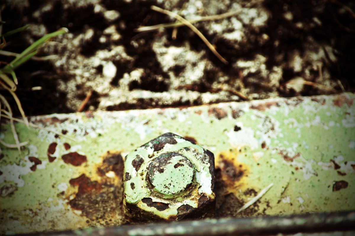 _dsc00318xju8.jpg