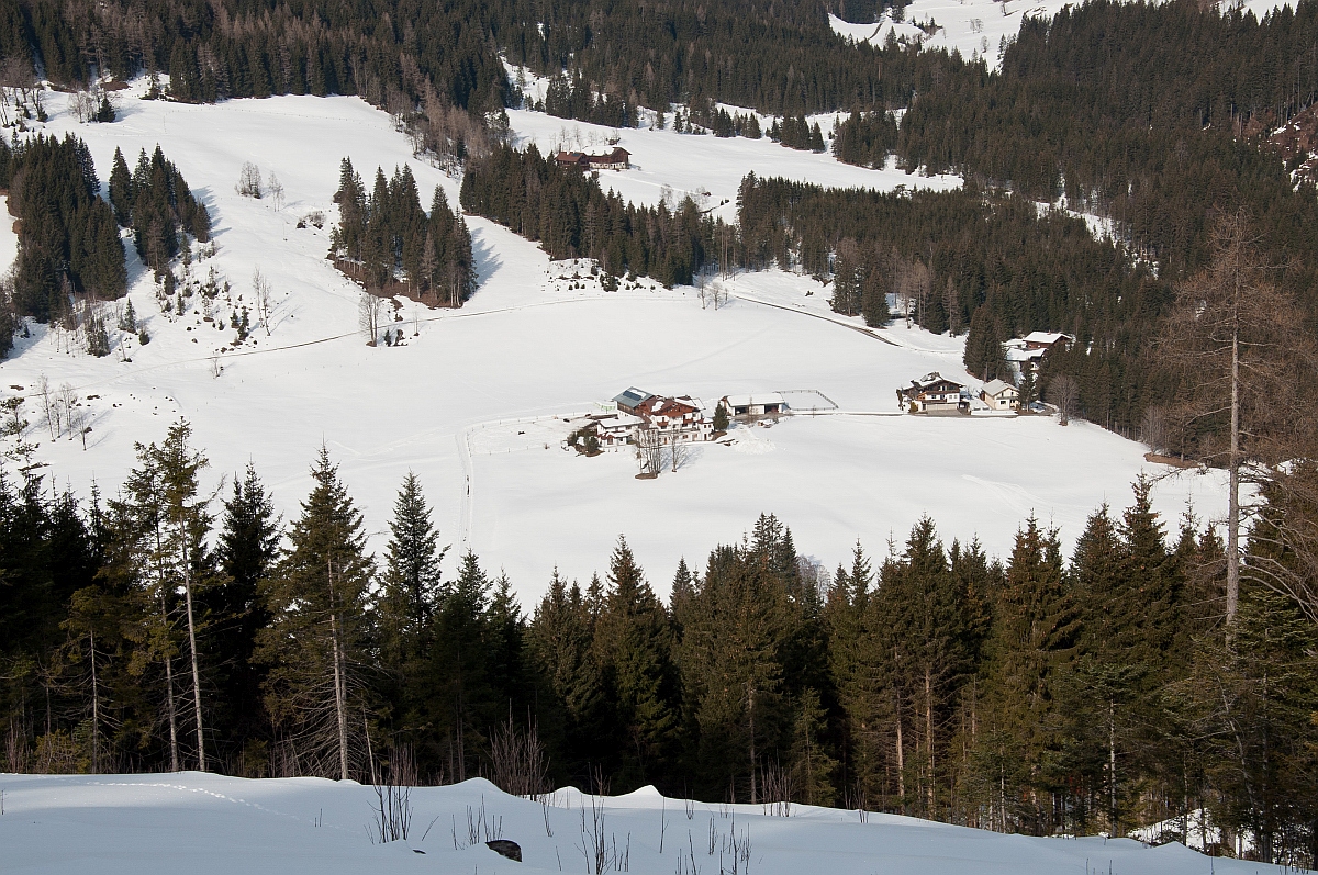 _dsc0032cyx61.jpg
