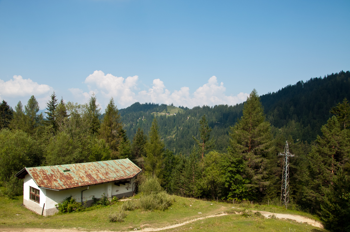 _dsc0034x2jvn.jpg