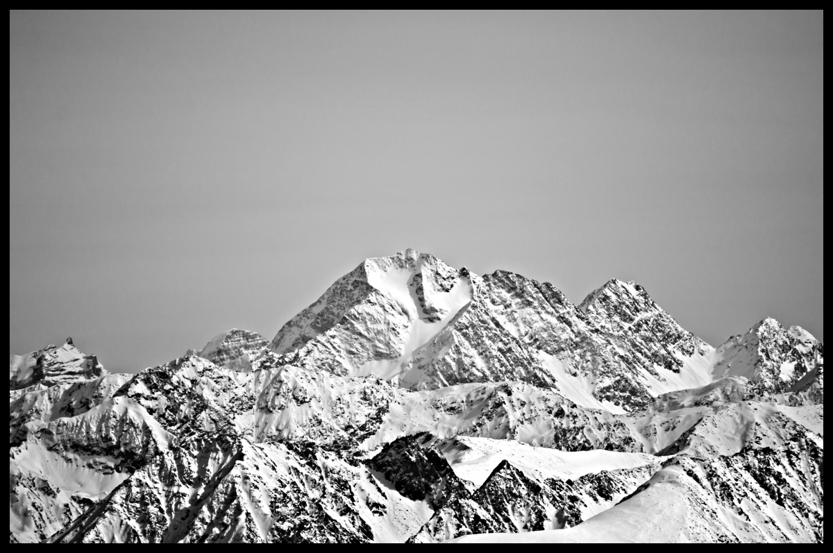 _dsc0039gnlid.jpg