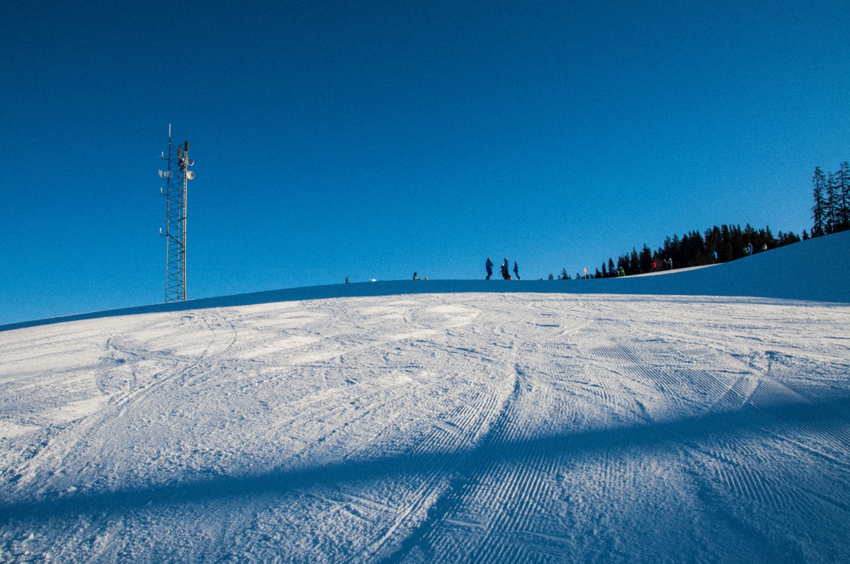 _dsc0047s6km4.jpg