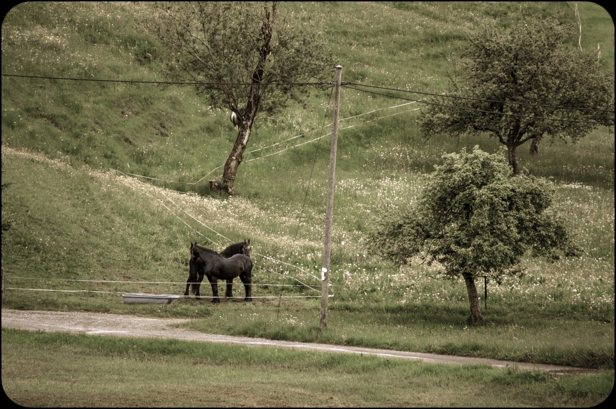 _dsc0047x7rcw.jpg
