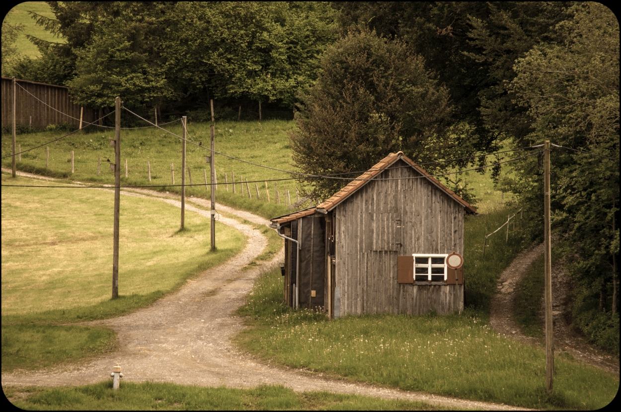 _dsc00481jpcc.jpg