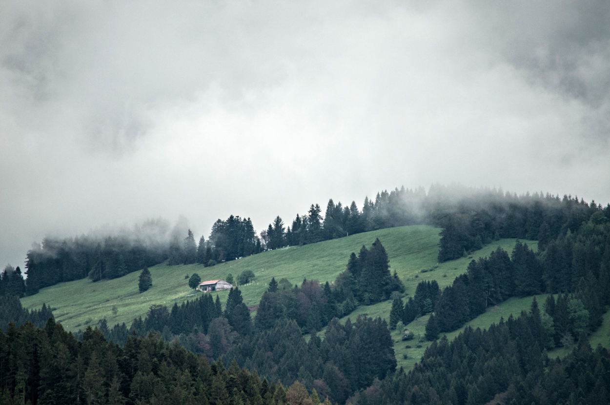 _dsc0051nfps8.jpg