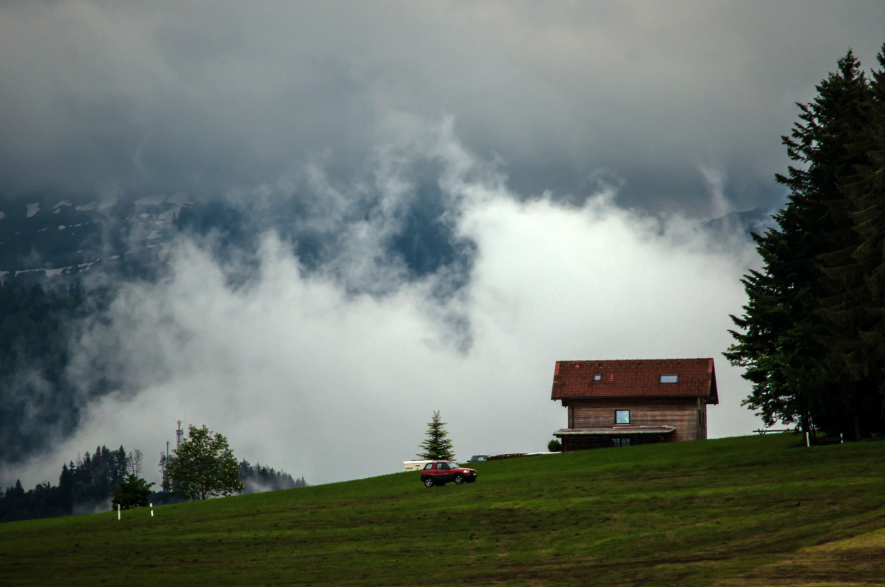 _dsc0053qlocu.jpg