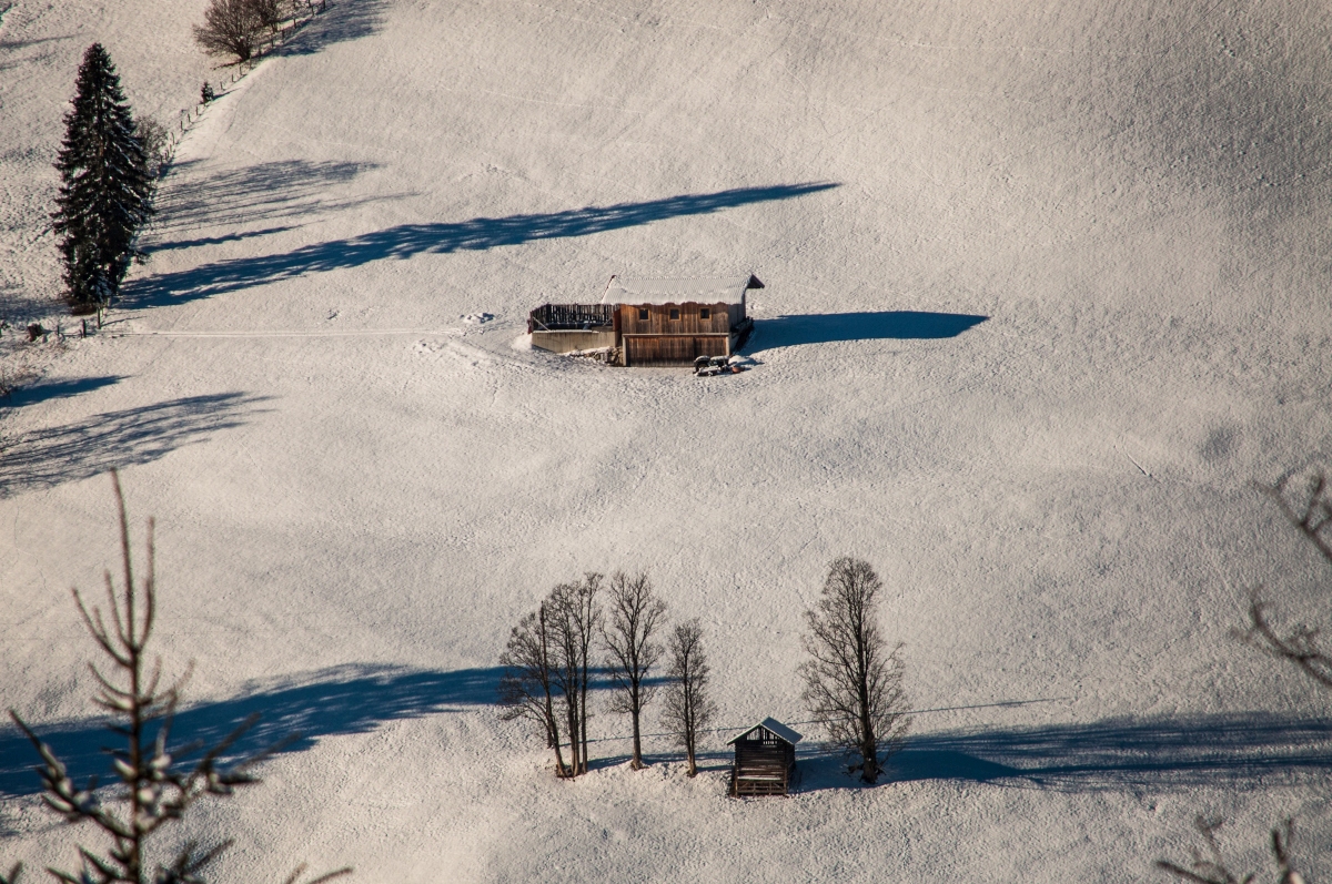 _dsc0057rpkua.jpg
