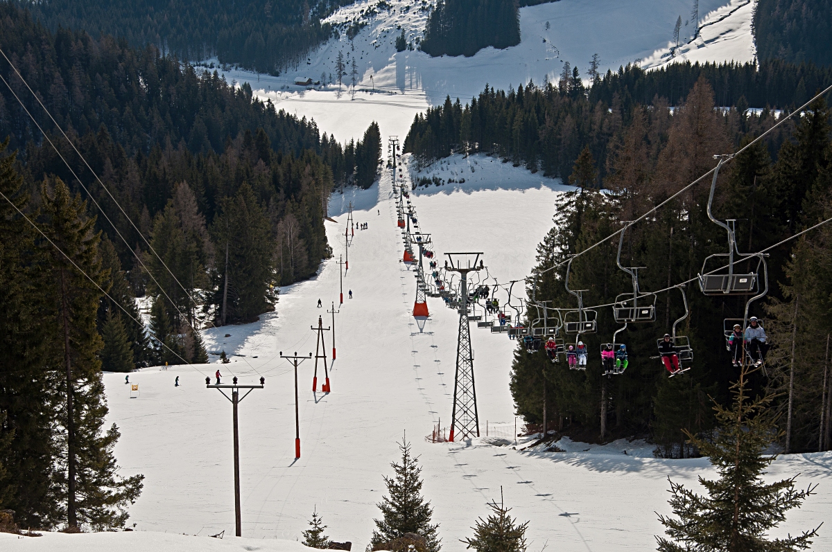 _dsc0064tlzzr.jpg