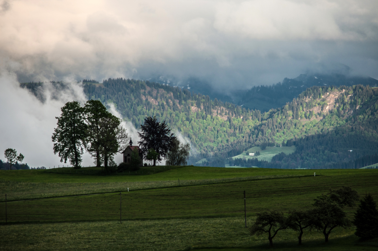 _dsc00667zqvq.jpg