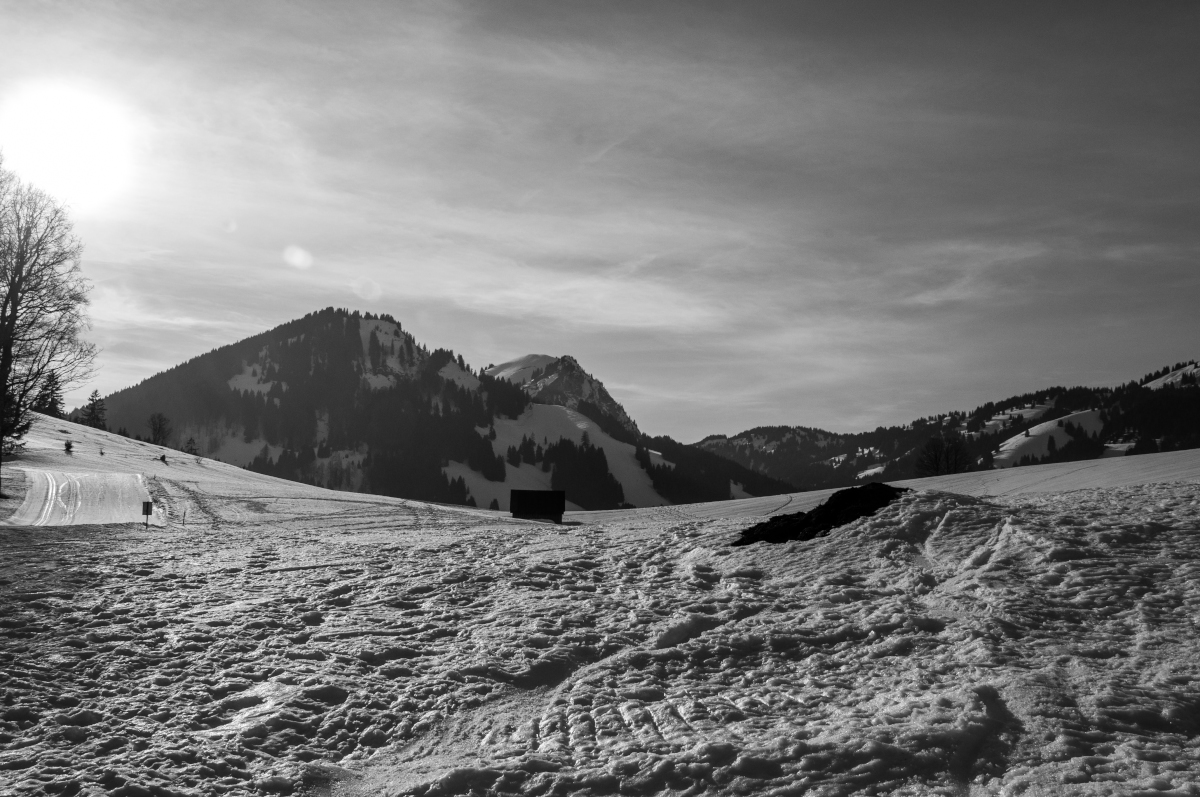_dsc0066tmk0e.jpg
