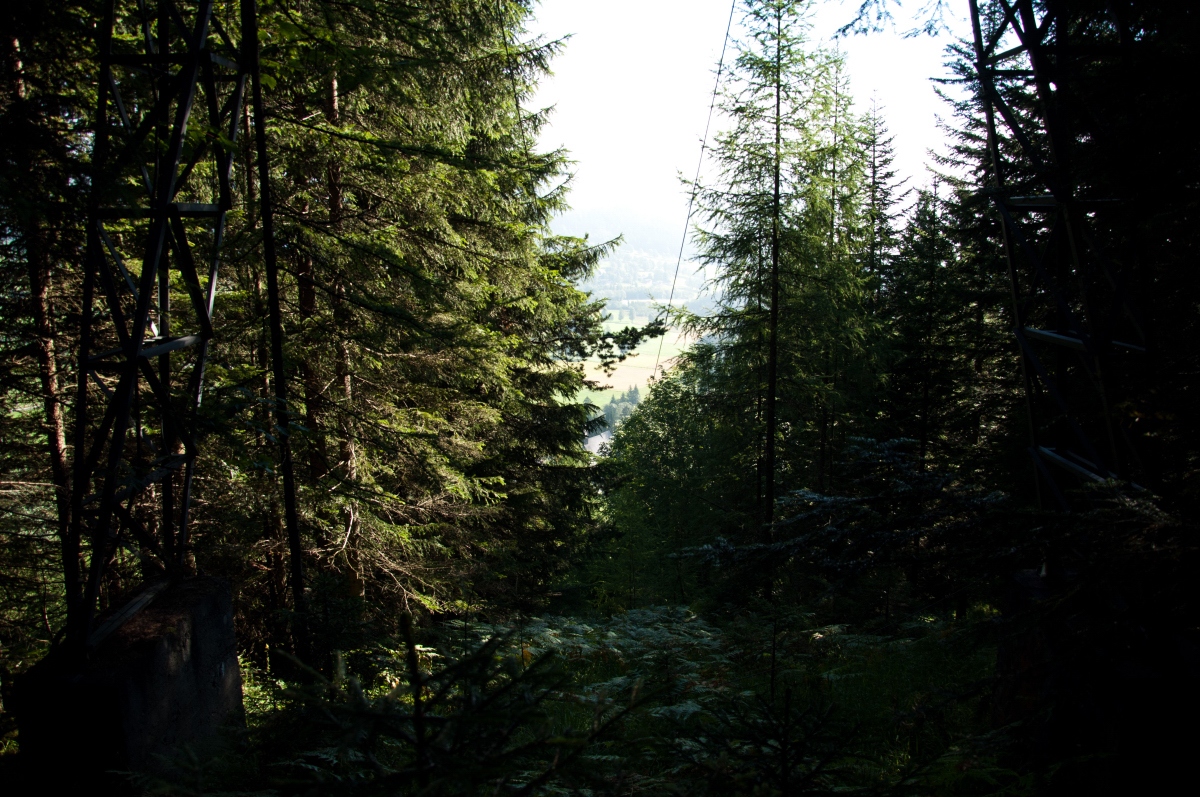 _dsc0067j4r0o.jpg