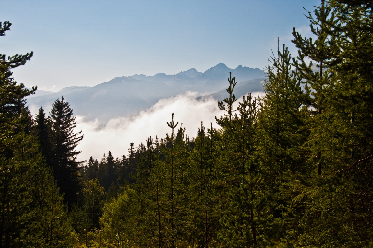 _dsc0074wwroq.jpg